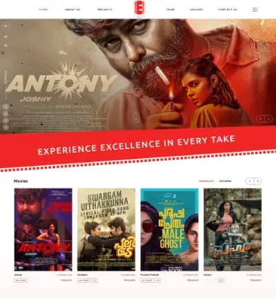 Einstin Media: Web Design & Dev for Film Production gallery image 1